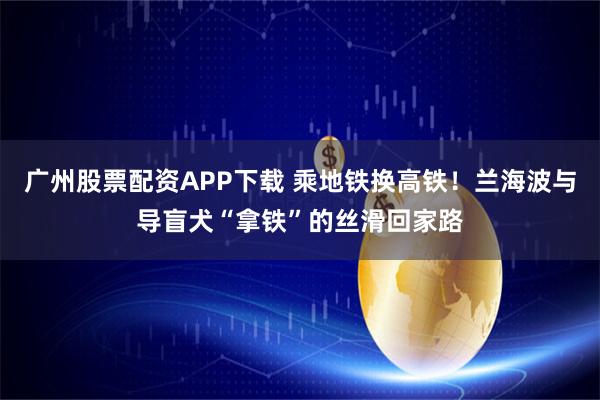 广州股票配资APP下载 乘地铁换高铁！兰海波与导盲犬“拿铁”的丝滑回家路