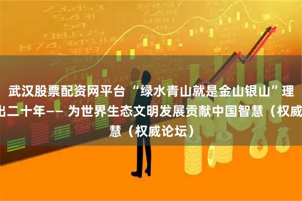 武汉股票配资网平台 “绿水青山就是金山银山”理念提出二十年—— 为世界生态文明发展贡献中国智慧（权威论坛）
