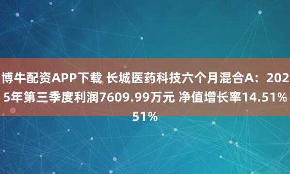 博牛配资APP下载 长城医药科技六个月混合A:2025年第三季度利润7609.99万元 净值增长率14.51%